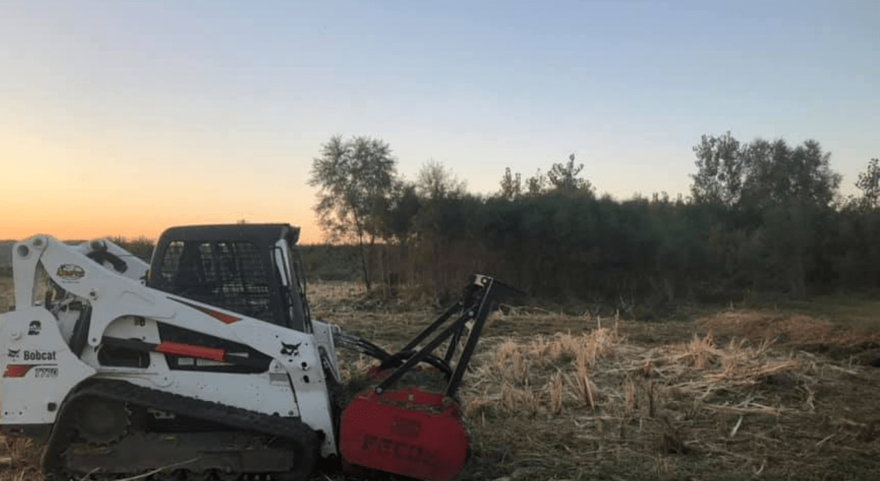 What Types of Vegetation Can Fecon Forestry Mulchers Handle?